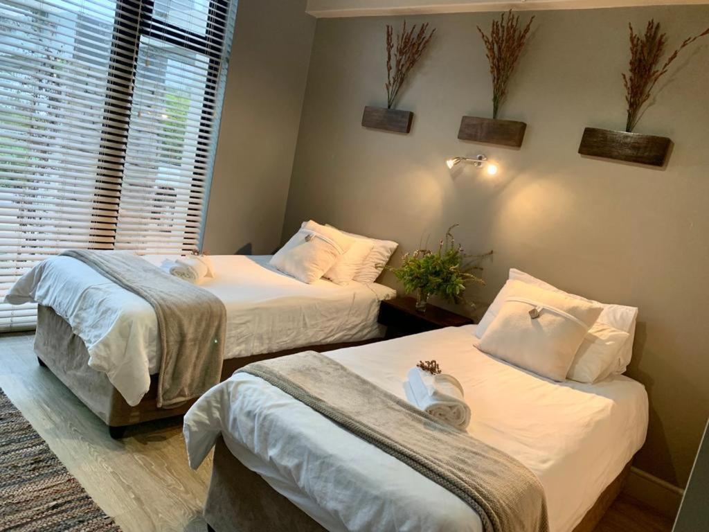 House Vos Villa Hermanus Dış mekan fotoğraf